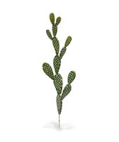 Opuntia kunst Cactus 65cm