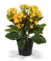 Kalanchoe kunstplant 30cm - oranje