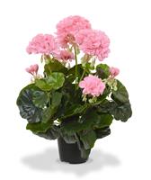 Geranium kunstplant in pot 40cm - roze