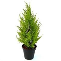 Conifeer kunstplant 45cm - geel/groen
