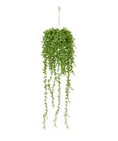 Senecio kunst hangplant 60cm