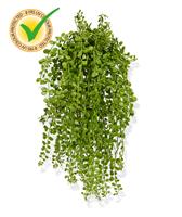 Dischidia kunst hangplant 40cm - UV bestendig