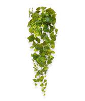 Maxi Fleur kunstplanten Pothos kunsthanger 90cm - bont