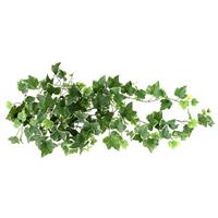 Hedera Deluxe hangplant bont 75cm