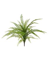 Asplenium Varen kunstplant 45cm