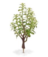 Crassula Bonsai kunstplant 40cm - grijs