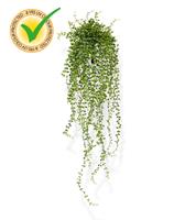 Callisia kunsthangplant 70 cm UV