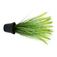 Pennisetum kunst Pluimgras plant 50cm in pot 12cm