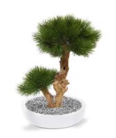 Pinus Bonsai kunstboom 55 cm op voet