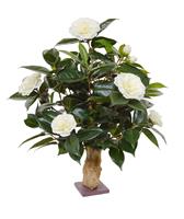 Camelia kunstplant 60 cm op voet creme