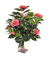 Camelia kunstplant 65 cm roze op voet