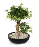 Acer kunst Bonsaiboom 60 cm groen