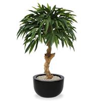 Longifolia Royal 90 cm kunstboom op stam