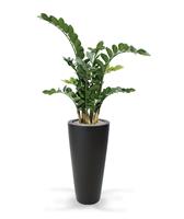 Maxi Fleur kunstplanten Zamioculcas kunstplant 100cm