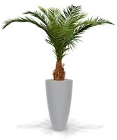 Canarie Phoenix kunstpalm deluxe 210 cm