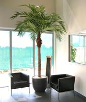 Majesty Kunstpalm Giant 350 cm