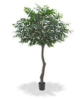 Coffee Arabica Giant kunstboom 320 cm