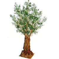 Olijfboom Deluxe 290cm