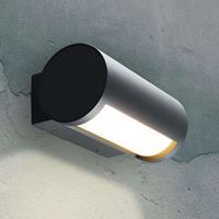 Heitronic LED buiten wandlamp Timor, instelbaar licht