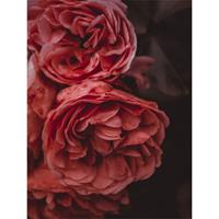 Trendhopper Wanddecoratie Botanical Stories 022 30x40cm