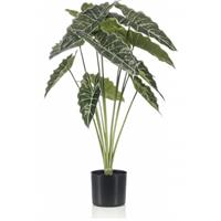 Emerald Kunstplant Alocasia 80cm in pot