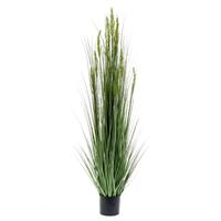 Emerald Kunstplant graangras 150 cm