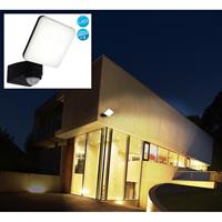 Naeve Leuchten LED buiten wandlamp Jaro, sensor, 1-lamp