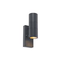 QAZQA Buitenwandlamp donkergrijs 2-lichts licht-donker sensor - Duo