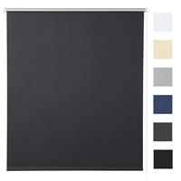 woltu Verdunklungsrollo Thermorollo Klemmfix ohne Bohren Anthrazit anthrazit 40x160cm(BXH） - 