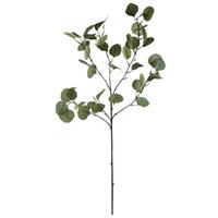 Leen Bakker Eucalyptus Spray 4 stuks - grijs/groen - 87 cm