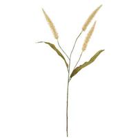 Leen Bakker Pennisetum Spray 3 stuks - crème - 33 cm