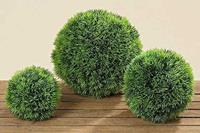 Boltze Kunstpflanzen & -blumen Graskugel 18 cm (1 Stück) (grün)