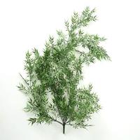 Boltze Home Decoratieplant Bamboe L120cm