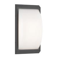 LCD Buitenwandlamp 053 van roestvrijstaal, grafiet