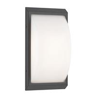 LCD Buitenwandlamp 053 van roestvrijstaal, grafiet