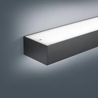 Helestra Theia LED wandlamp, mat zwart 30 cm