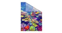 Lichtblick Fensterfolie selbstklebend, Sichtschutz, Aquarium - Bunt bunt Gr. 50 x 50