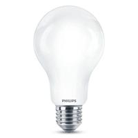 Philips Lampen E27 13W PH 929002371901 Mat