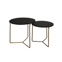 Brix | Mason Black/Brass | Set of 2 | rond | industrieel | staal mangohout