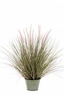 Emerald Kunst Grasplant Pennisetum 58 Cm In Pot