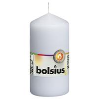 Bolsius Stompkaarsen 10 st 120x58 mm wit