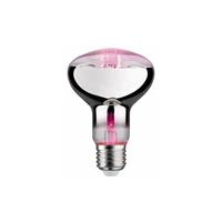 Paulmann LED planten lamp E27 R80 6,5W