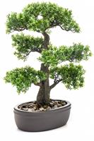 Emerald Kunst Bonsai Ficus 43 Cm