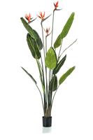 Emerald Kunstplant Strelitzia Met Bloemen 150 Cm