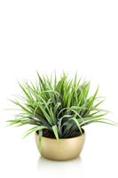 Emerald Kunstplant Grass 33 Cm In Gouden Pot