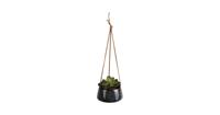 Pt, (present time) Pt, hangende pot Unique, geglazuurd, groen, klein