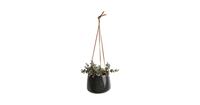 Pt, (present time) Pt, hangende pot Unique, geglazuurd, groen, groot
