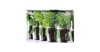 KESPER Servierplatte Serviertablett, Motiv: Herbs 77334, (1-tlg)