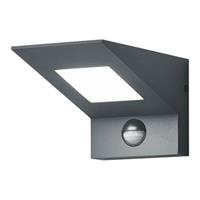 Trio Lighting LED-Außenwandleuchte Nelson, mit Sensor