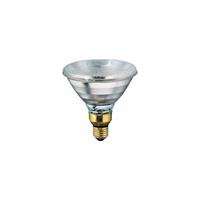 Lamp 175 W Wit Philips Spaar